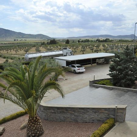 Villa Campo Premium Yecla Exterior photo